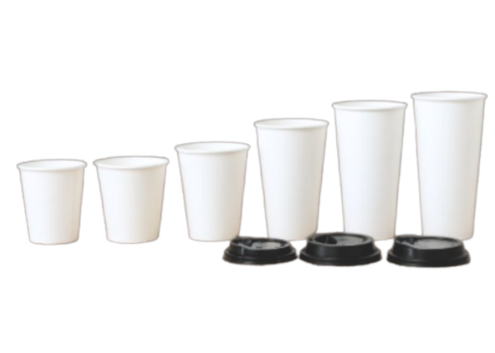 Single Wall Paper Cup with Lid